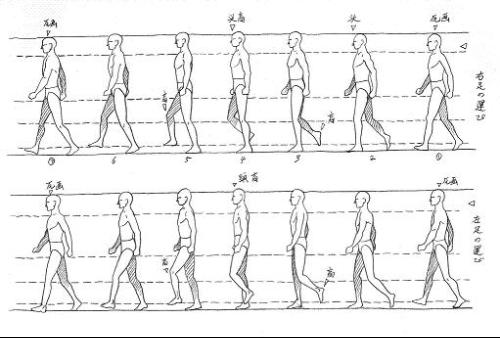 人走步的动作分解图-动画漫画-运动规律-七家团子-网