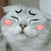 一粒FAFA