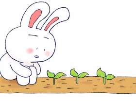 小矛毁童年系列——小白兔和小灰兔的故事6