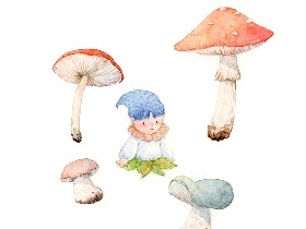 水彩插画蘑菇君