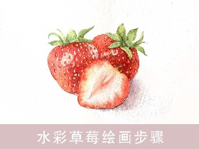 水彩插画 草莓绘画教程 插画分享